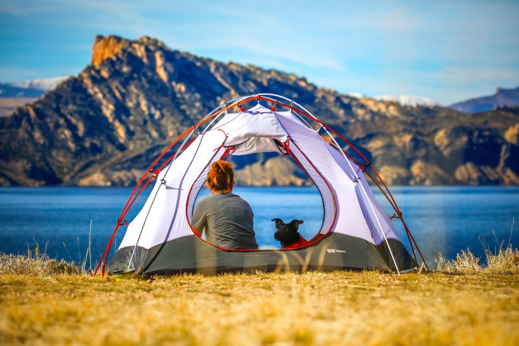 camping with dog
