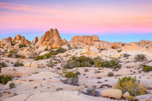 joshua tree national park califnornia desert rv camping