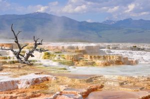 yellowstone thermal hot springs national park rv trip