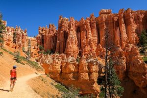 Bryce canyon utah national park largest collection of hoodoos national park camping hiking