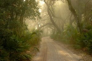 cumberland island national seashore georgia rv camping campgrounds near ferry