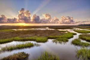 timucuan national park florida jacksonville underrated rv camping timucua